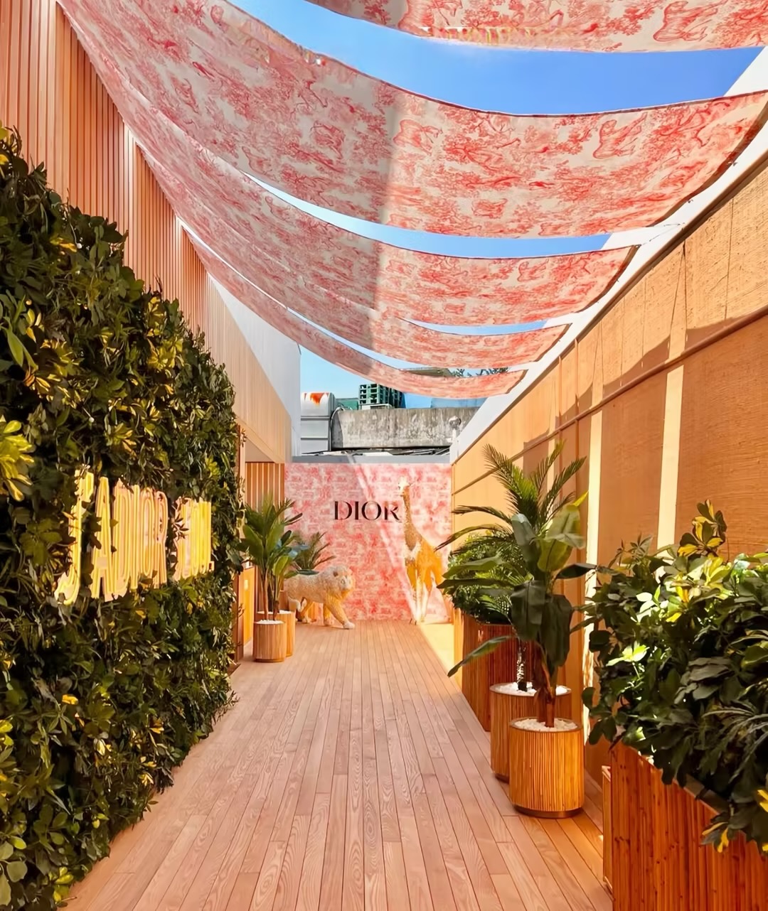 Dior 品牌推广活动零售展示